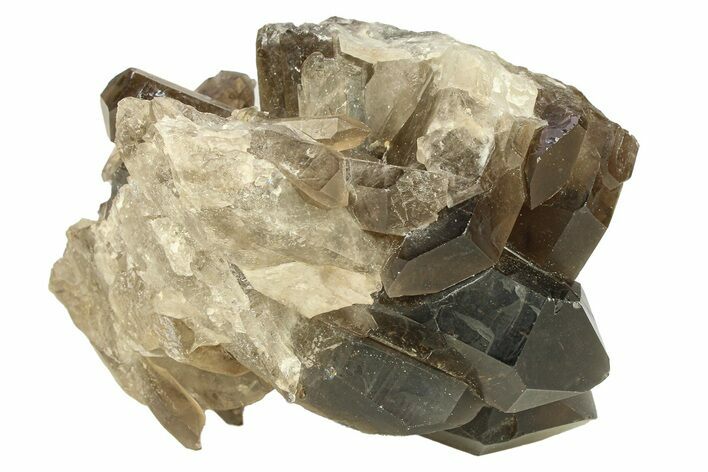 Dark Smoky Quartz Crystal Cluster - Brazil #302203